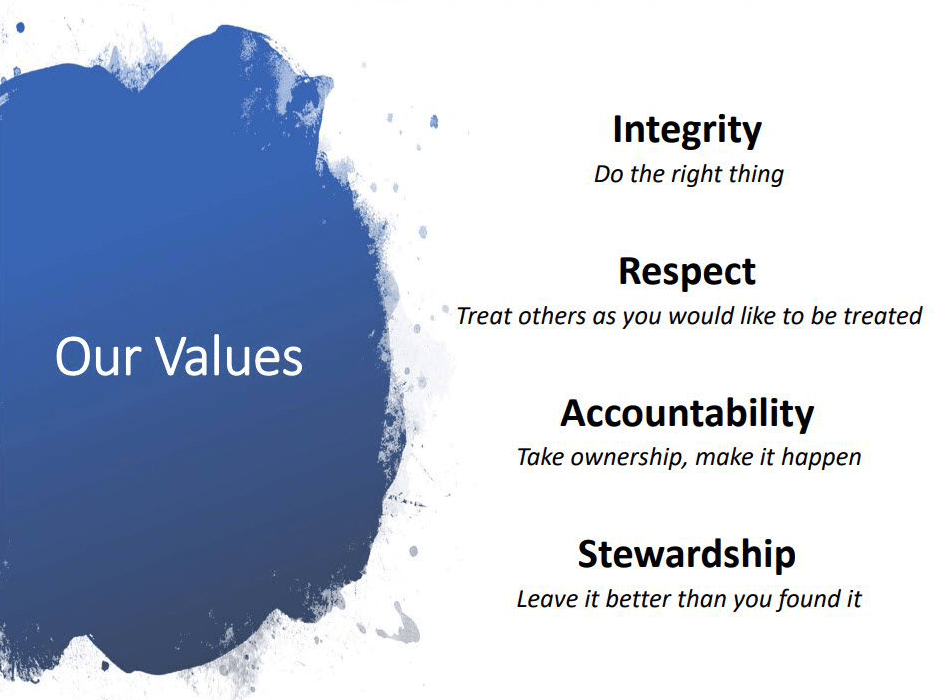Our values
